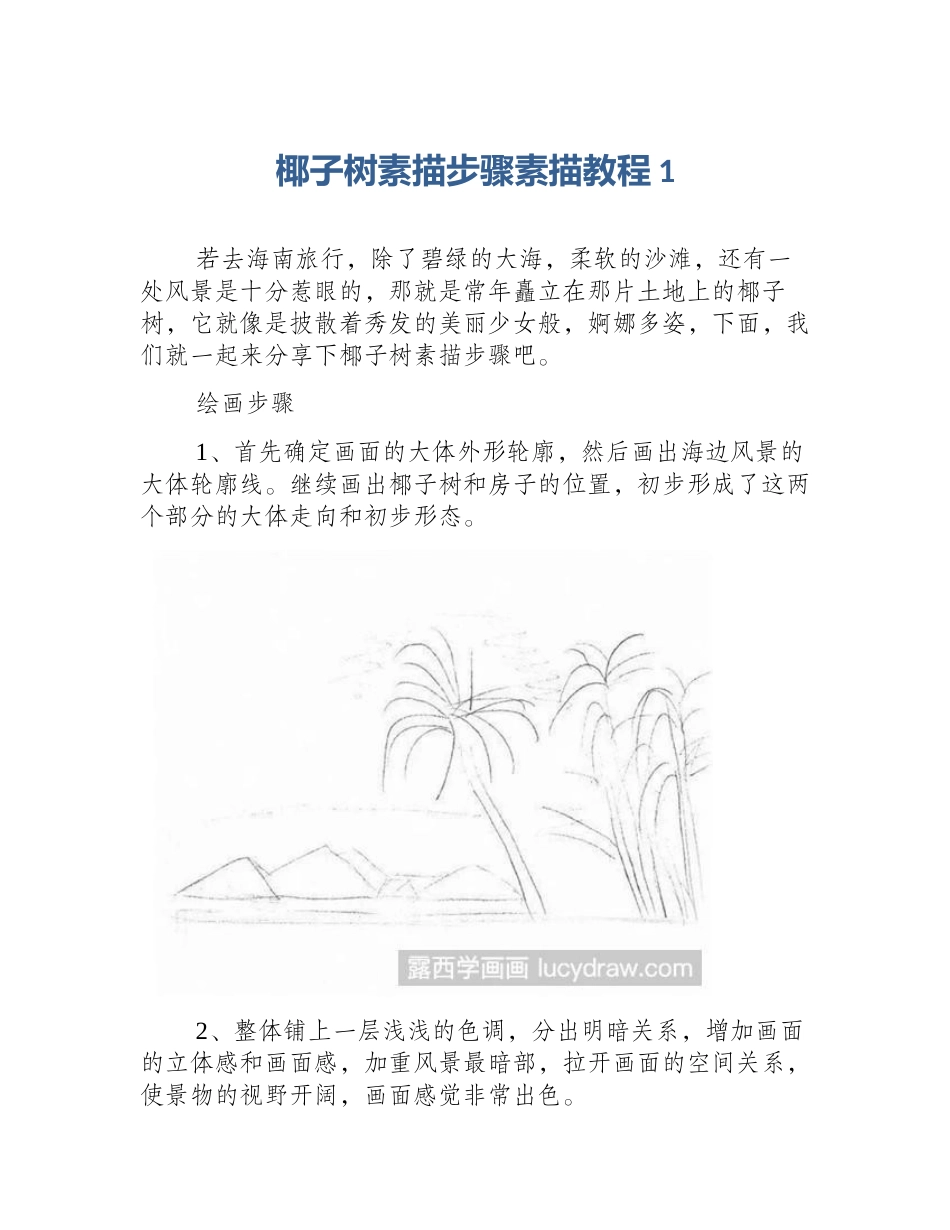 椰子树素描步骤素描教程1_第1页