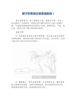 椰子树素描步骤素描教程1