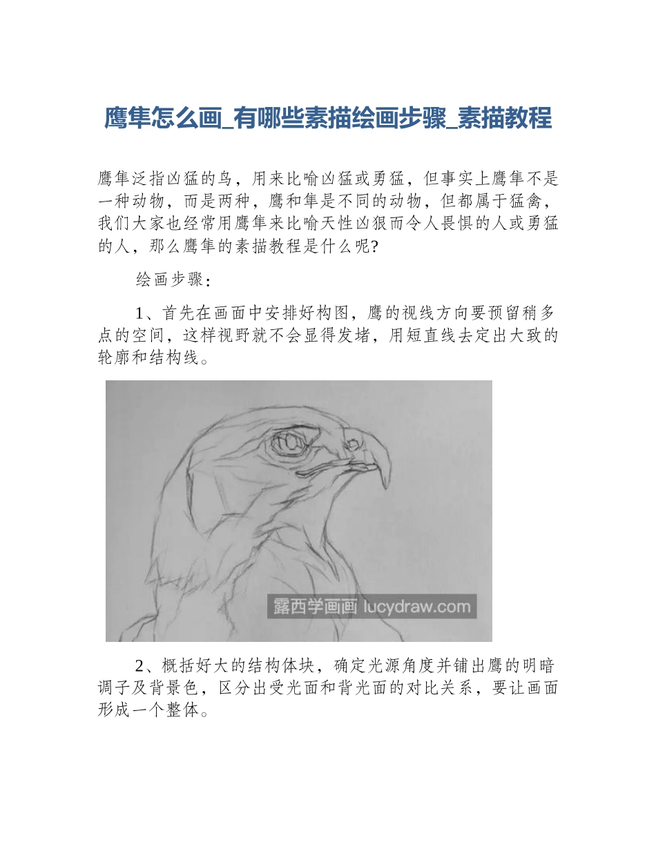 鹰隼怎么画_有哪些素描绘画步骤_素描教程_第1页