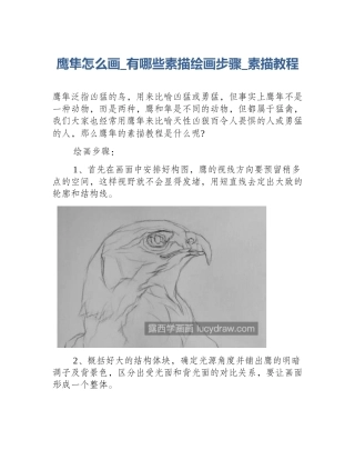 鹰隼怎么画_有哪些素描绘画步骤_素描教程
