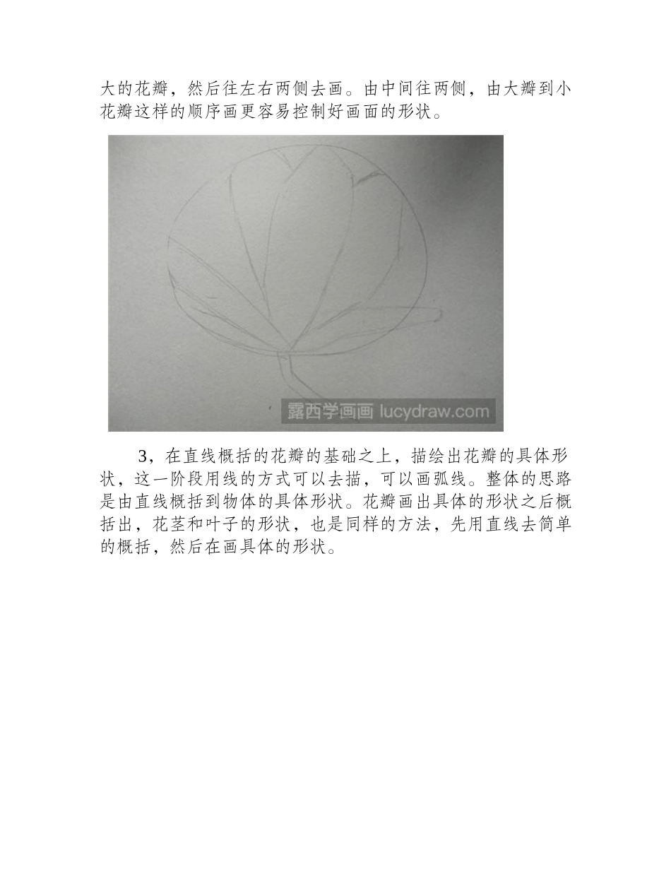 玉兰花素描教程素描教程1_第2页