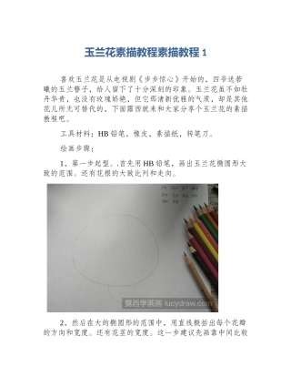 玉兰花素描教程素描教程1