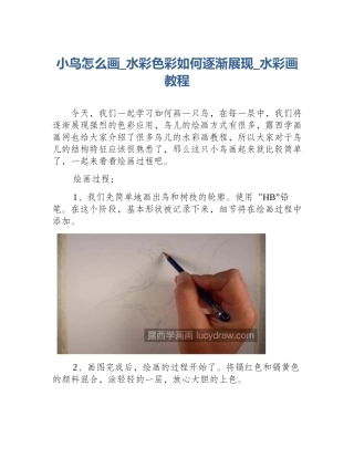 小鸟怎么画_水彩色彩如何逐渐展现_水彩画教程