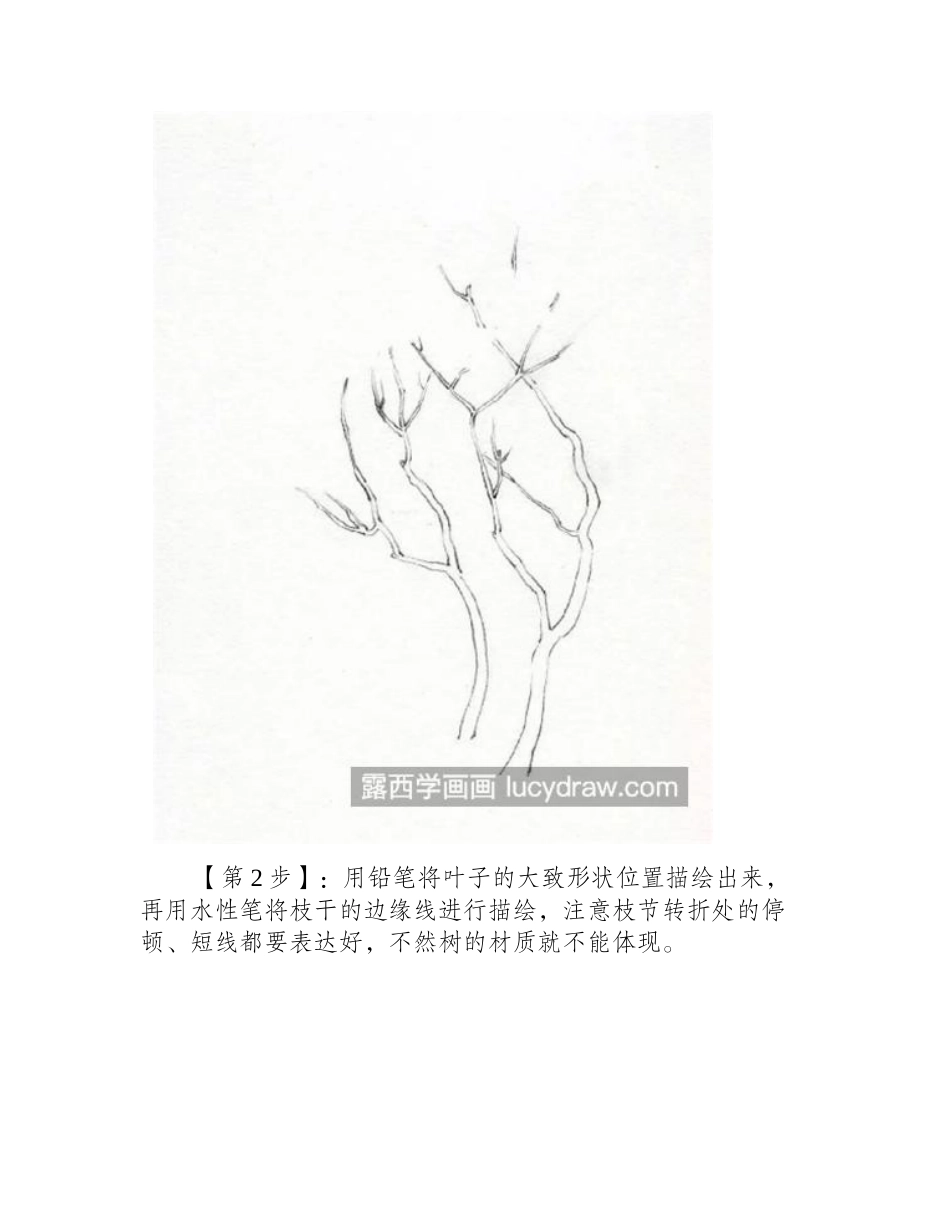 怎么画两棵树_具体的钢笔画步骤有哪些_钢笔画教程1_第2页