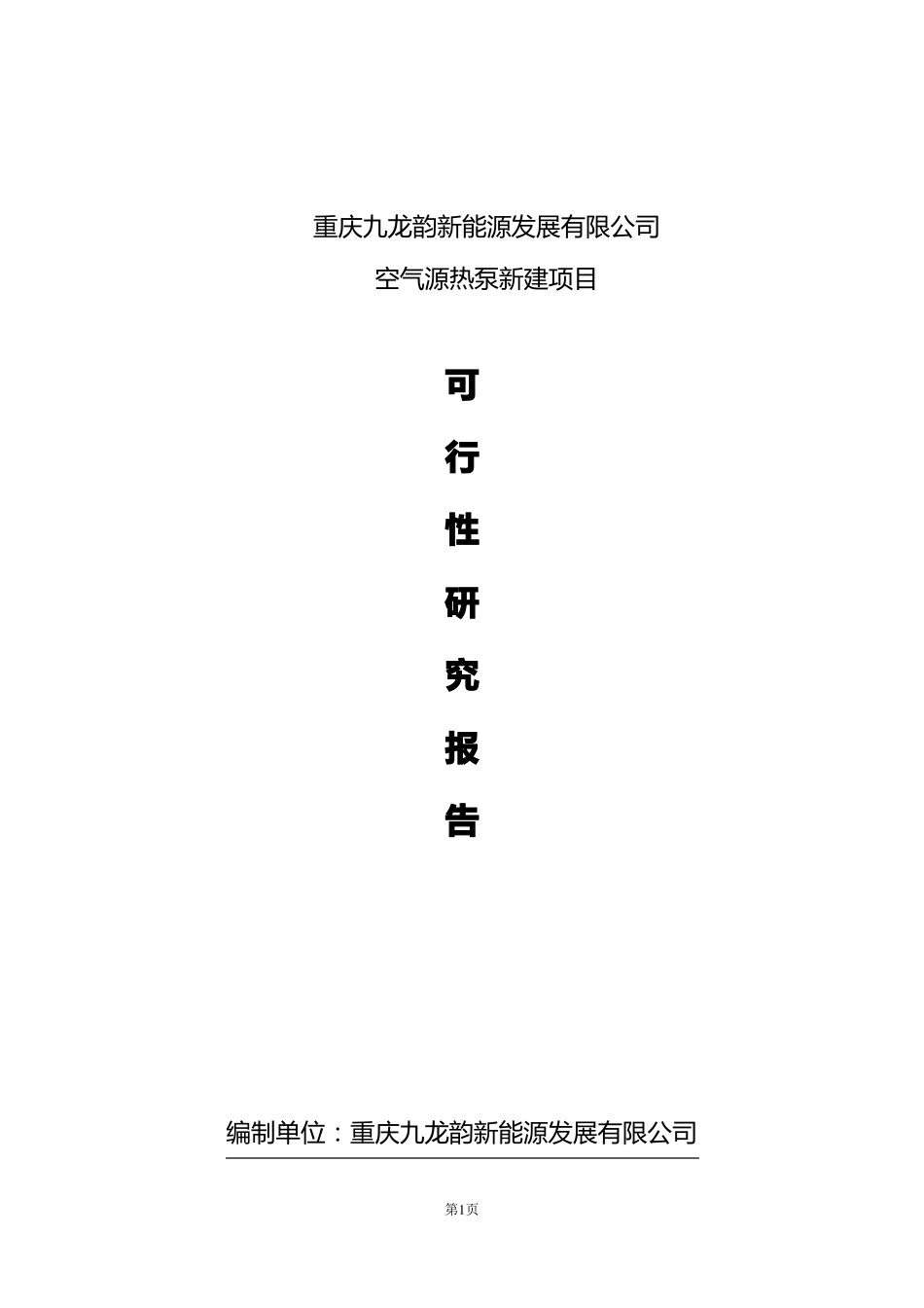 新能源可行性研究报告_第1页