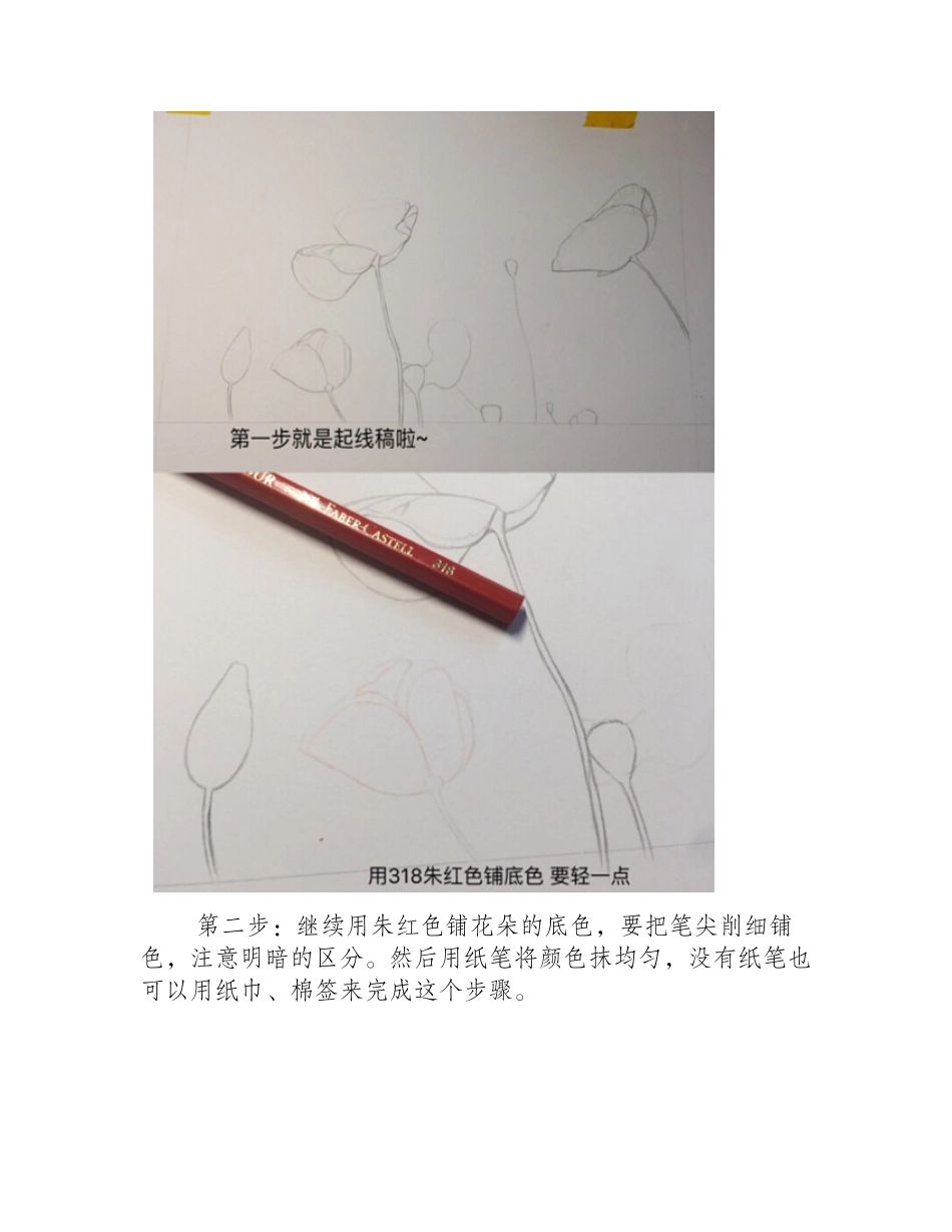 虞美人彩铅怎么画_彩铅虞美人教程彩铅画教程1_第2页