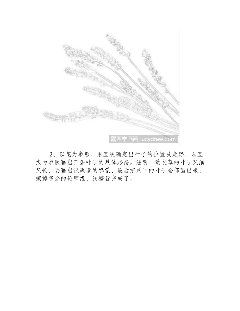 薰衣草彩铅画怎么画彩铅画教程_第2页