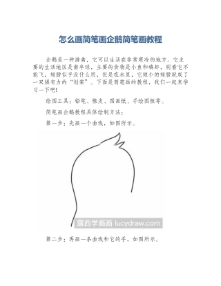 怎么画简笔画企鹅简笔画教程