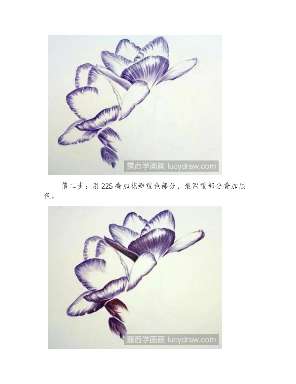 小苍兰彩铅画教程彩铅画教程_第2页