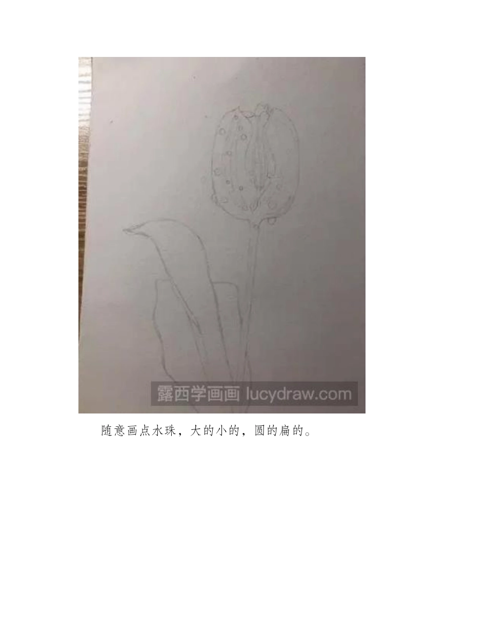 紫色郁金香的彩铅画教程是什么_彩铅画教程_第2页