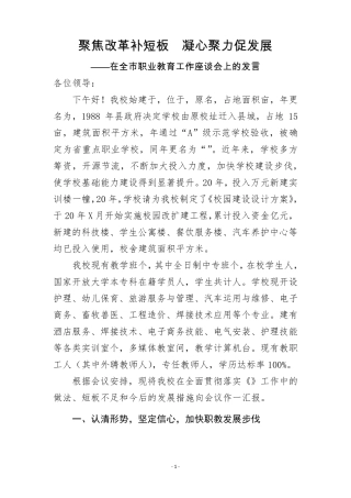 在全市职业教育工作座谈会上的发言(职业学校校长发言稿) 