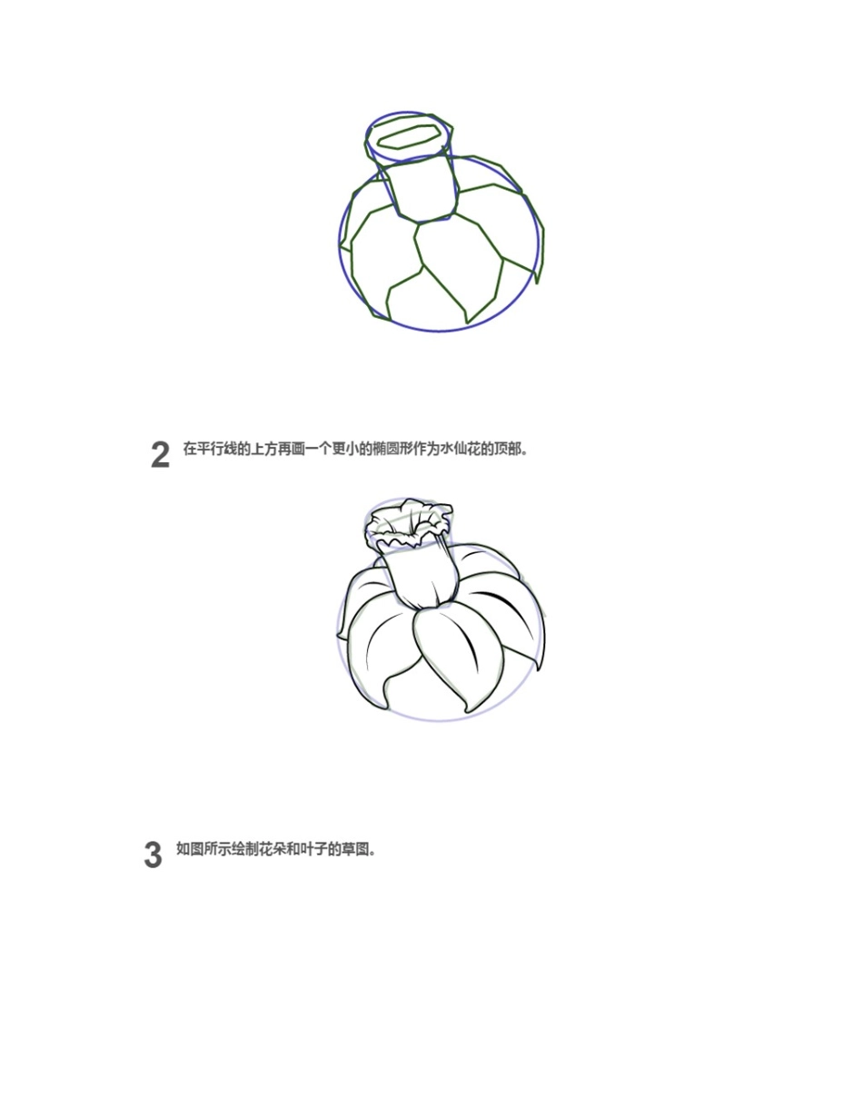 怎样简笔画水仙花_简笔画教程_第2页