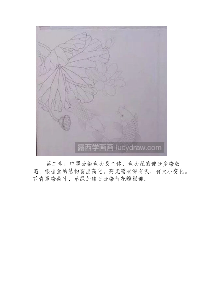 怎么绘制工笔画荷花与鲤鱼工笔画教程_第2页