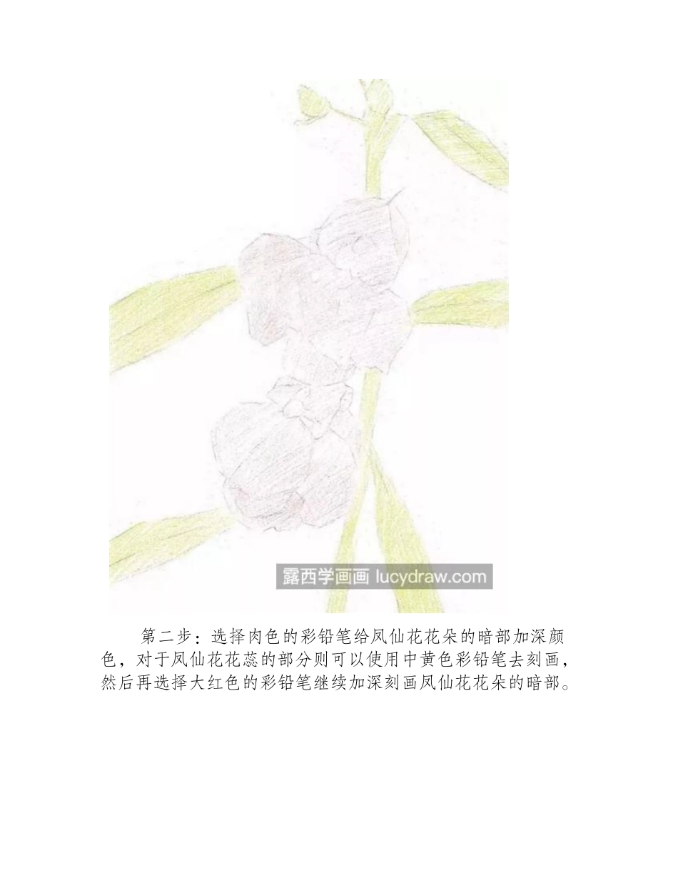 指甲花怎么画_凤仙花的彩铅步骤有哪些_彩铅画教程_第2页