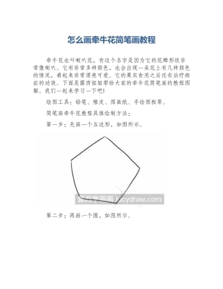 怎么画牵牛花简笔画教程