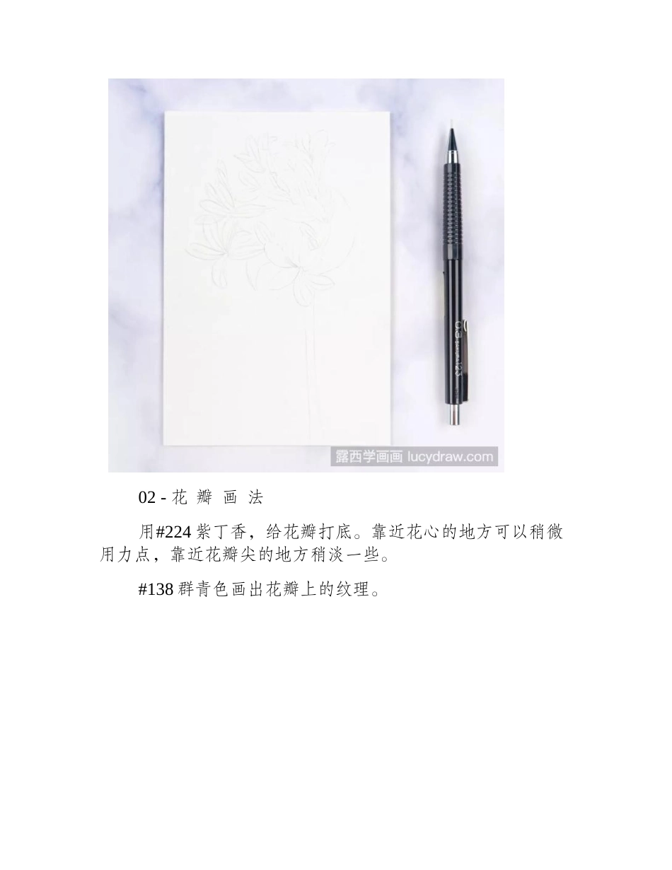 一束百子莲彩铅画如何画_绘画步骤有哪些_彩铅画教程_第2页