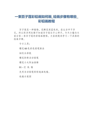 一束百子莲彩铅画如何画_绘画步骤有哪些_彩铅画教程