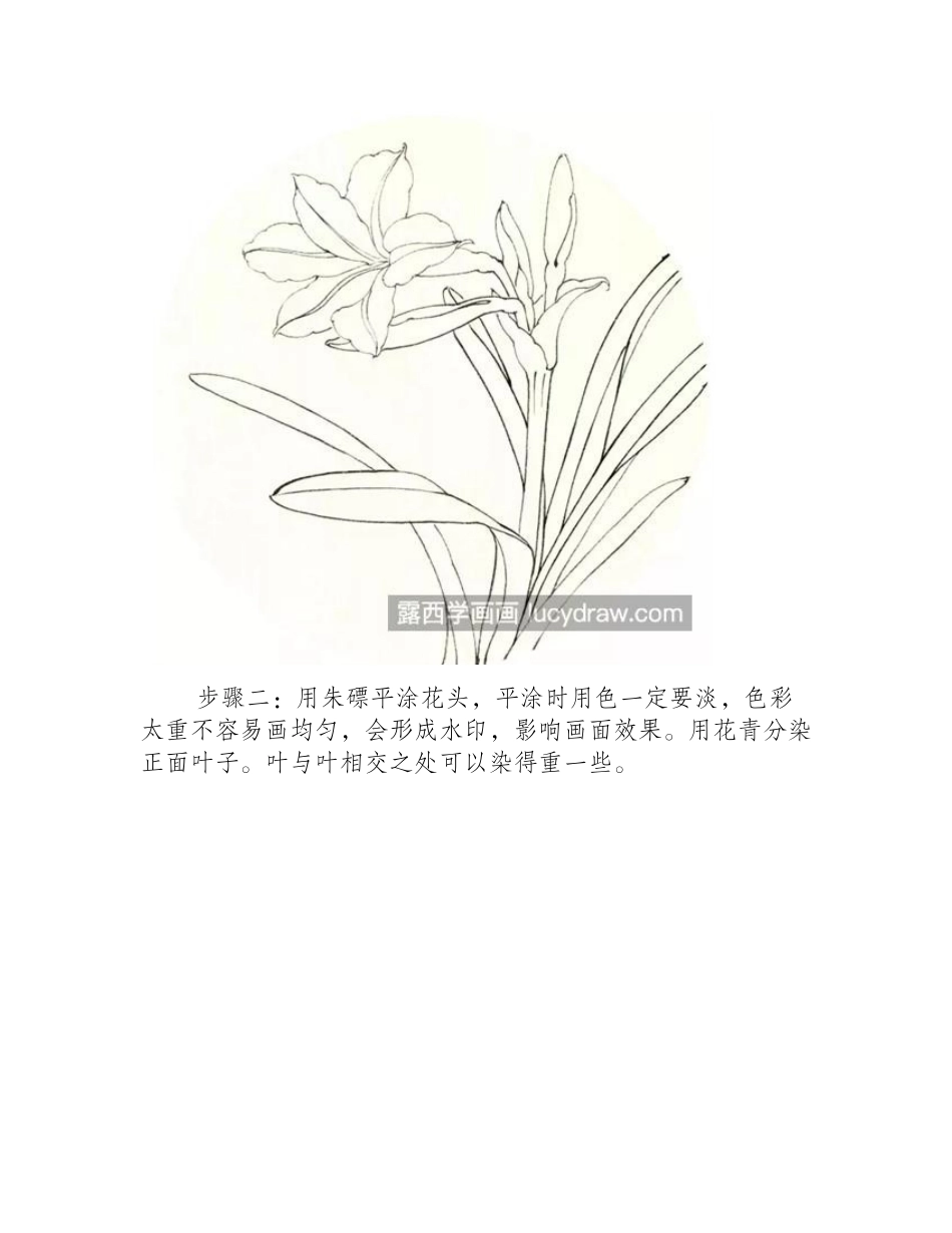 朱顶红和美人蕉怎么画_会用到哪些技法_工笔画教程_第2页