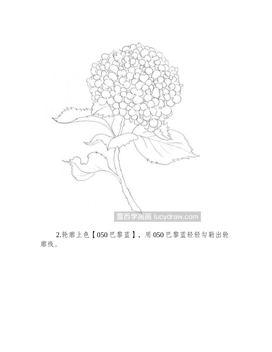 怎样用彩铅画绣球花彩铅画教程_第2页