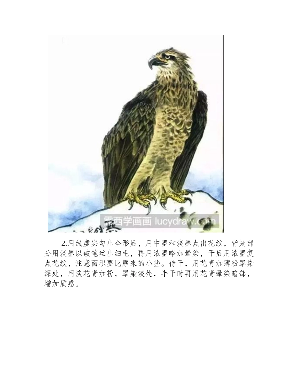 鹰的绘制技法国画教程_第2页