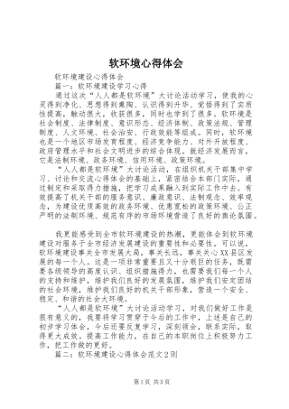 软环境心得体会