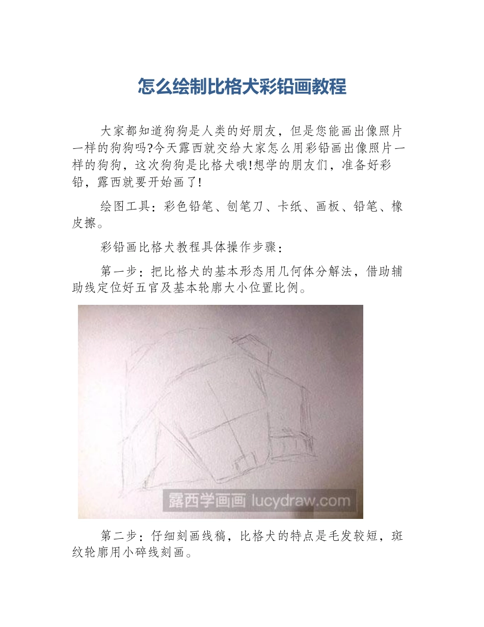 怎么绘制比格犬彩铅画教程_第1页