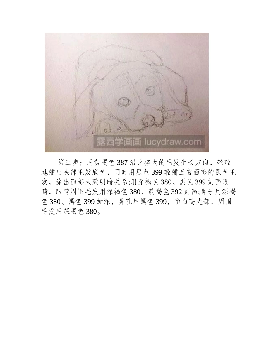 怎么绘制比格犬彩铅画教程_第2页