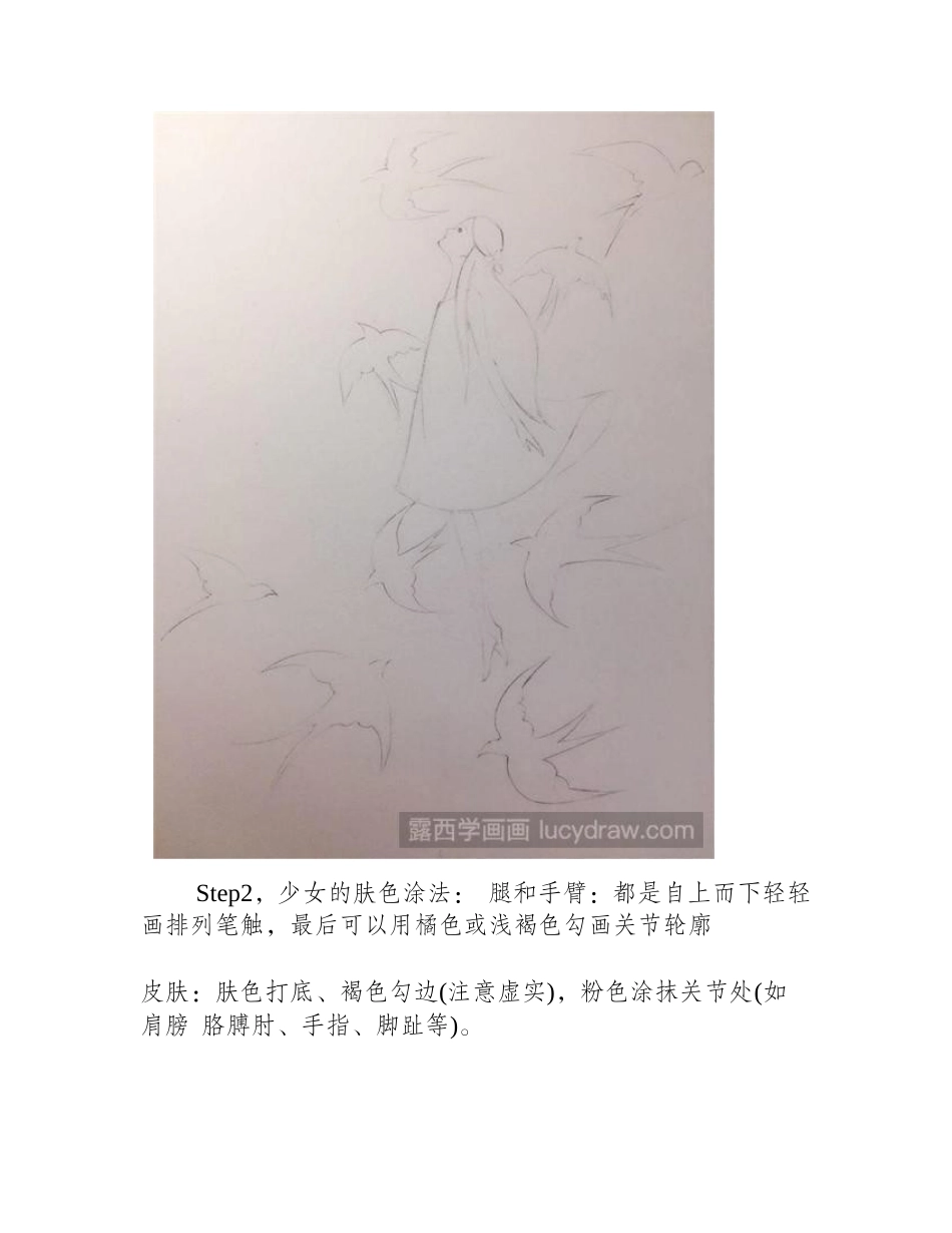 燕子精灵彩铅画教程彩铅画教程_第2页