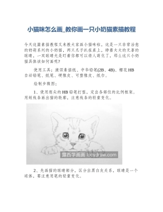 小猫咪怎么画_教你画一只小奶猫素描教程