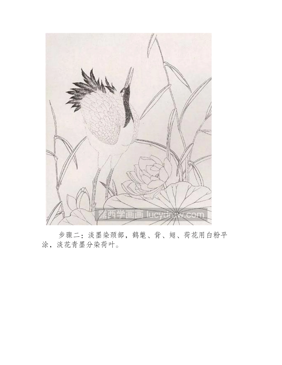 怎么绘制丹顶鹤与荷花工笔画教程_第2页