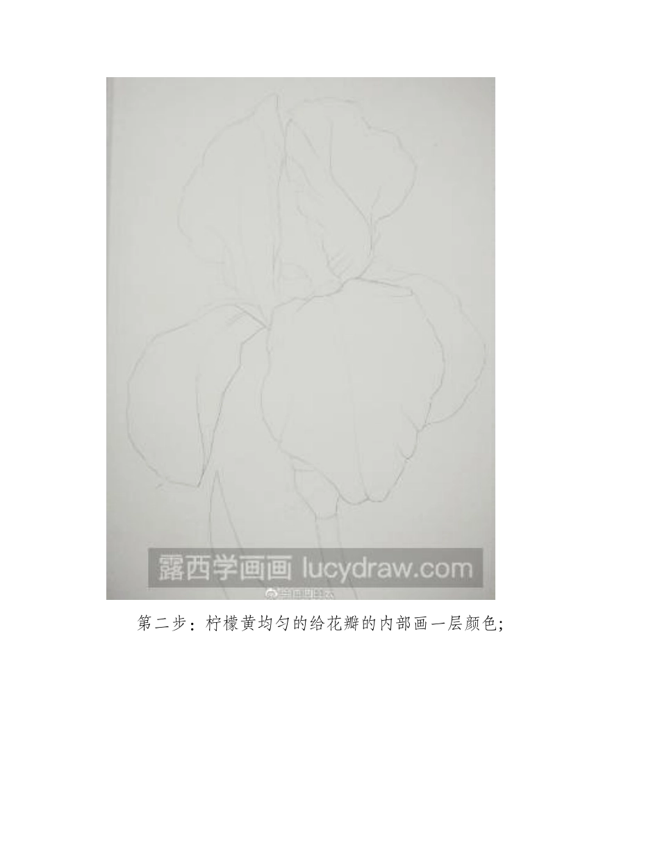鸢尾花彩铅画步骤教程彩铅画教程_第2页