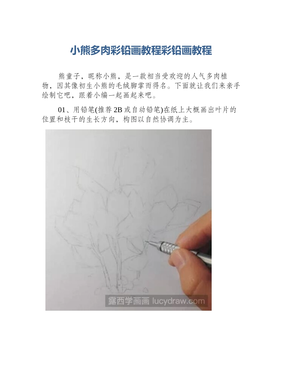 小熊多肉彩铅画教程彩铅画教程_第1页