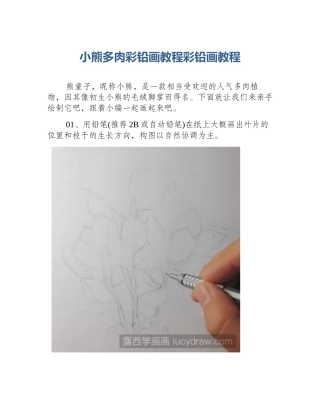 小熊多肉彩铅画教程彩铅画教程