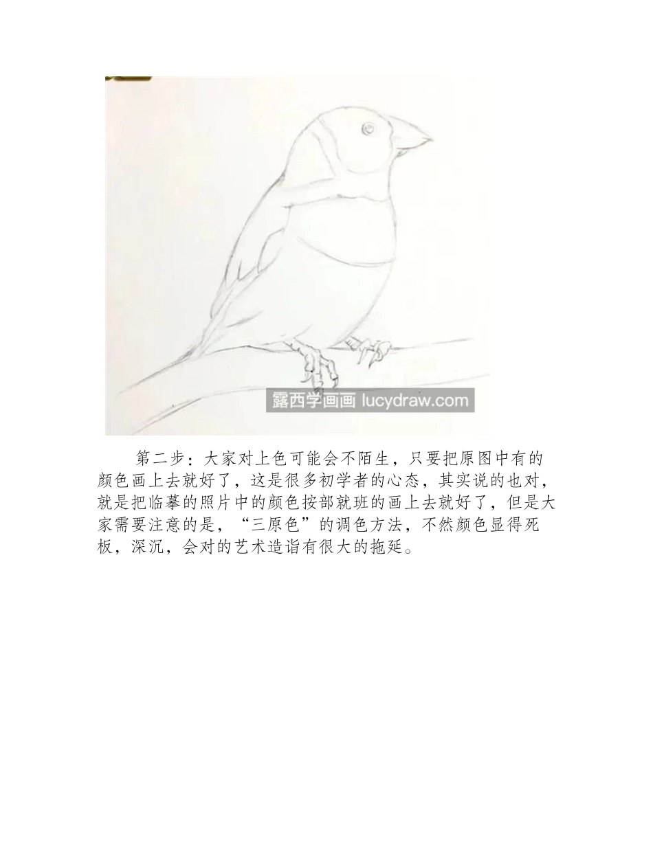 小胖鸟怎么画_简单的彩铅步骤有几步_彩铅画教程_第2页