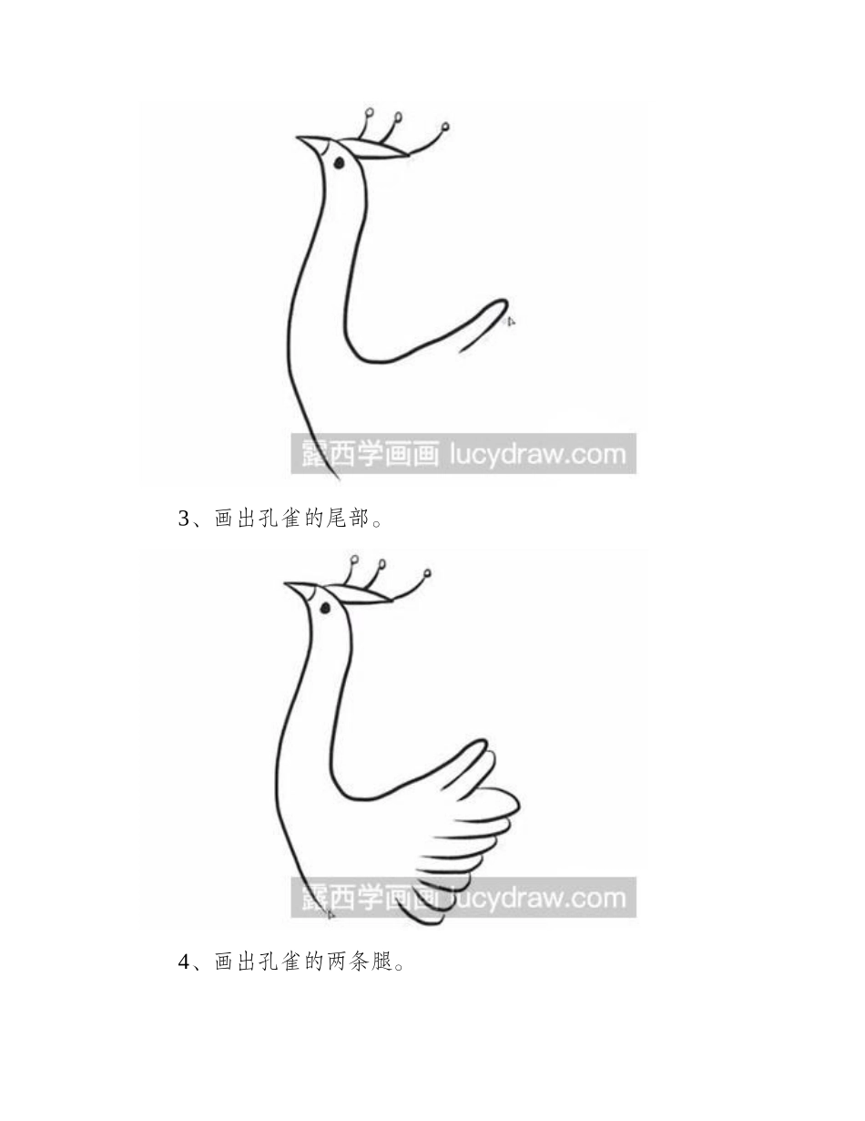 怎么绘制简笔画孔雀简笔画教程_第2页