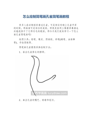 怎么绘制简笔画孔雀简笔画教程