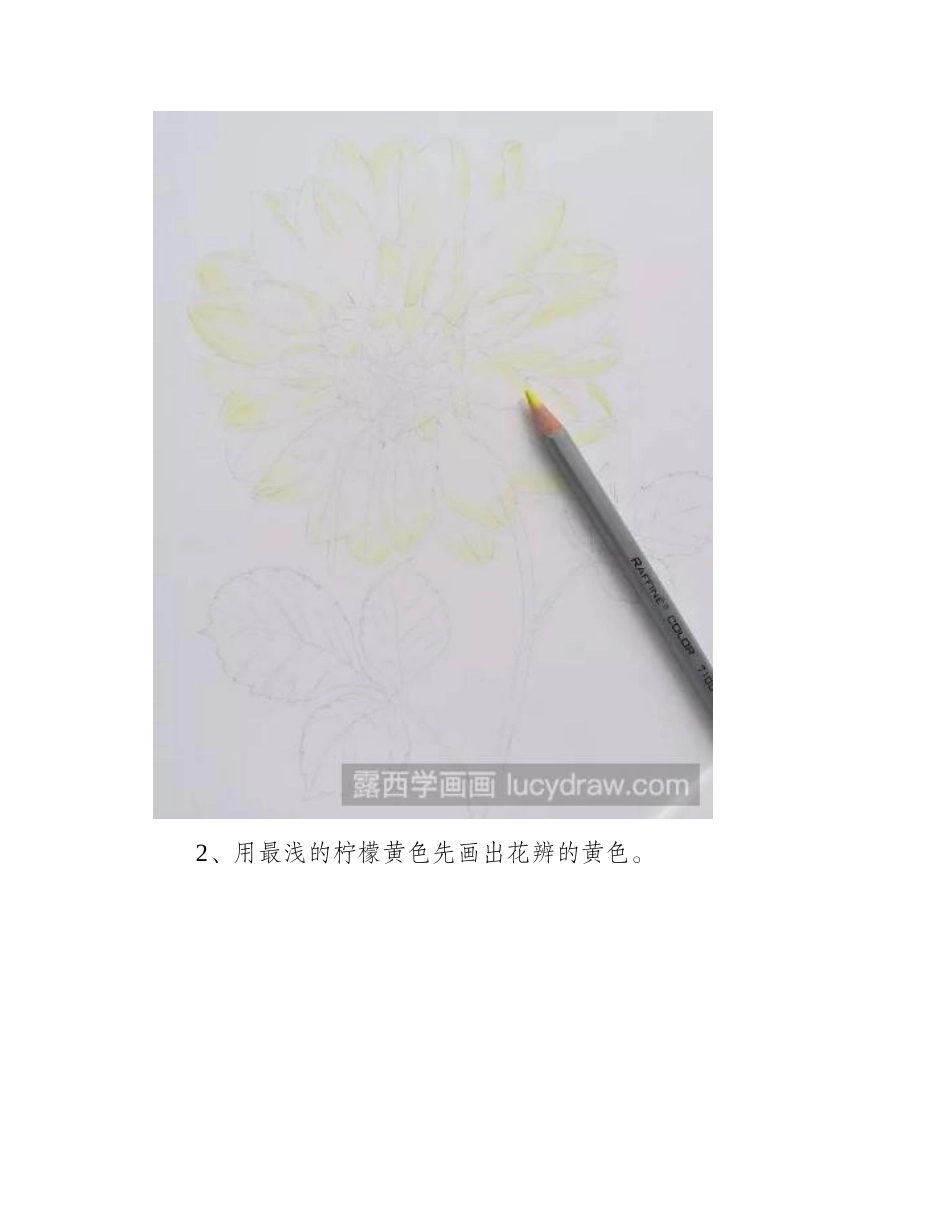 油性彩铅画花卉步骤教程彩铅画教程_第2页