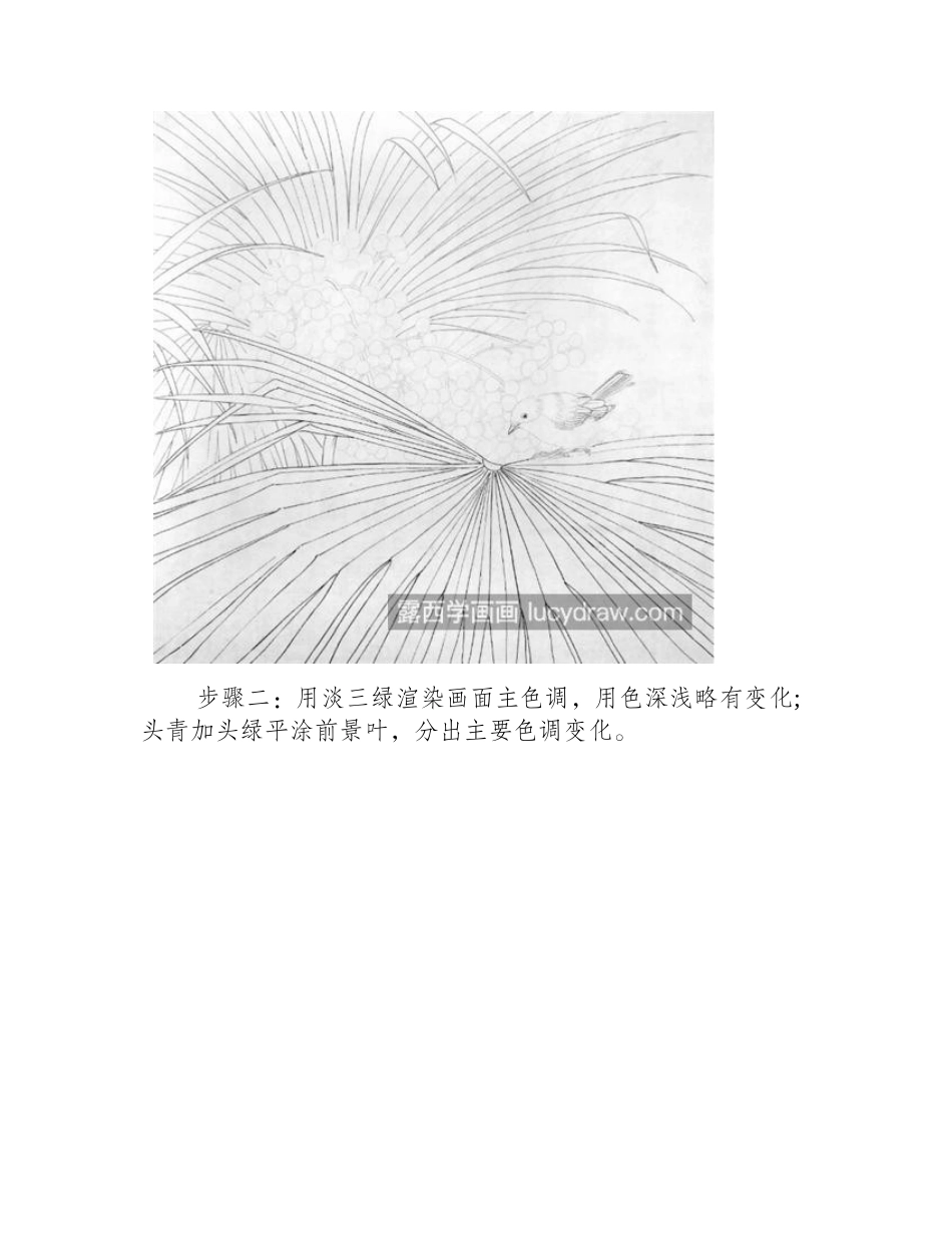 棕榈树怎么画_具体的工笔设色步骤有哪些_工笔画教程_第2页