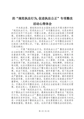 的“规范执法行为,促进执法公正”专项整改活动心得体会