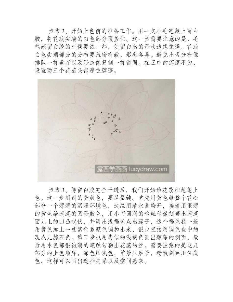 小舞妃怎么画_荷花的水彩绘画过程是什么_水彩画教程_第2页