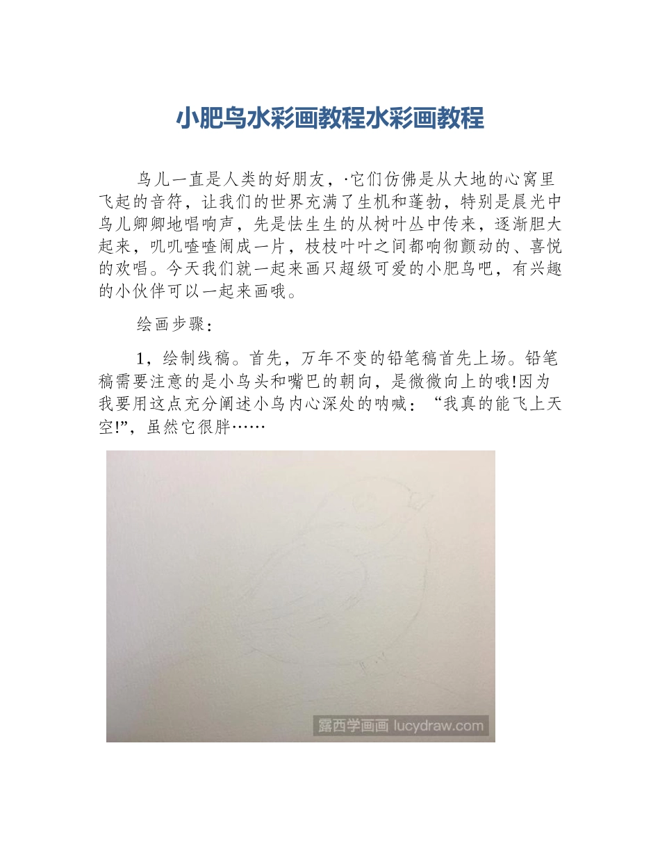 小肥鸟水彩画教程水彩画教程_第1页