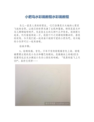 小肥鸟水彩画教程水彩画教程