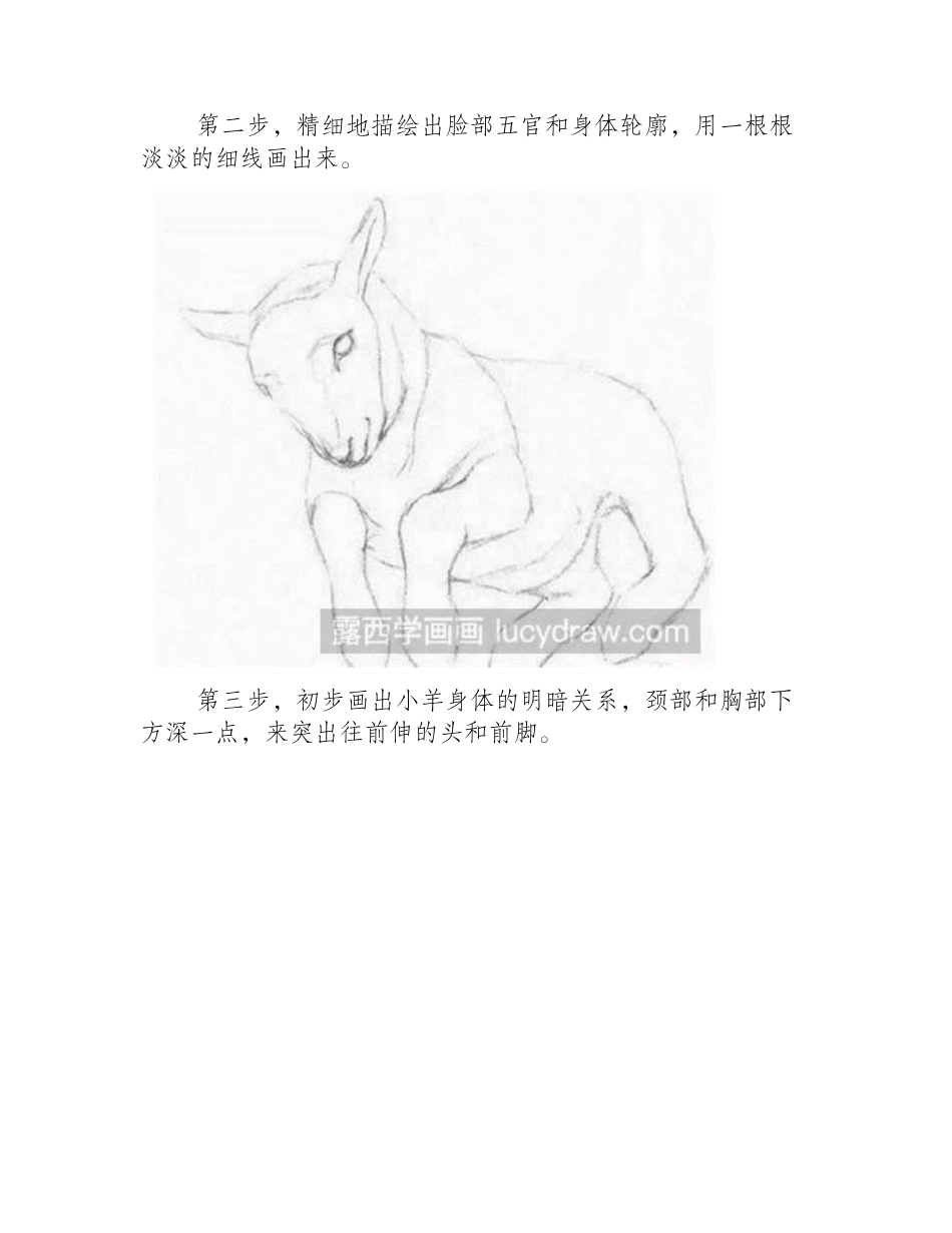 小羊羔的素描教程素描教程_第2页