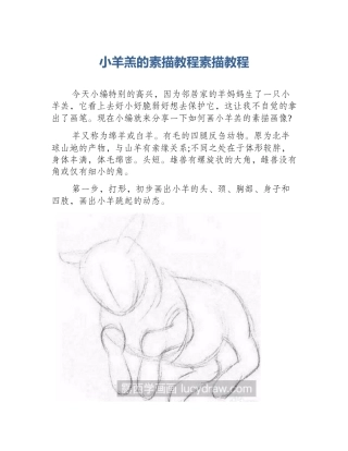 小羊羔的素描教程素描教程