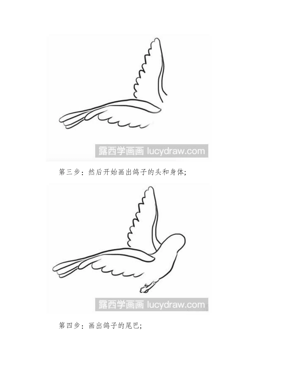 怎么画一只和平鸽简笔画教程_第2页