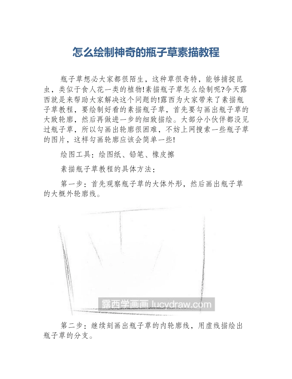 怎么绘制神奇的瓶子草素描教程_第1页