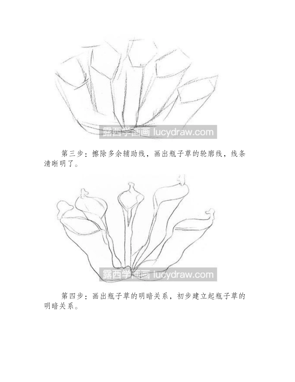怎么绘制神奇的瓶子草素描教程_第2页