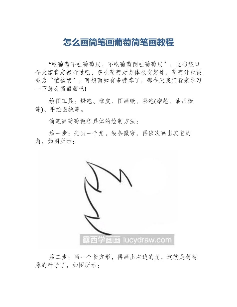 怎么画简笔画葡萄简笔画教程_第1页