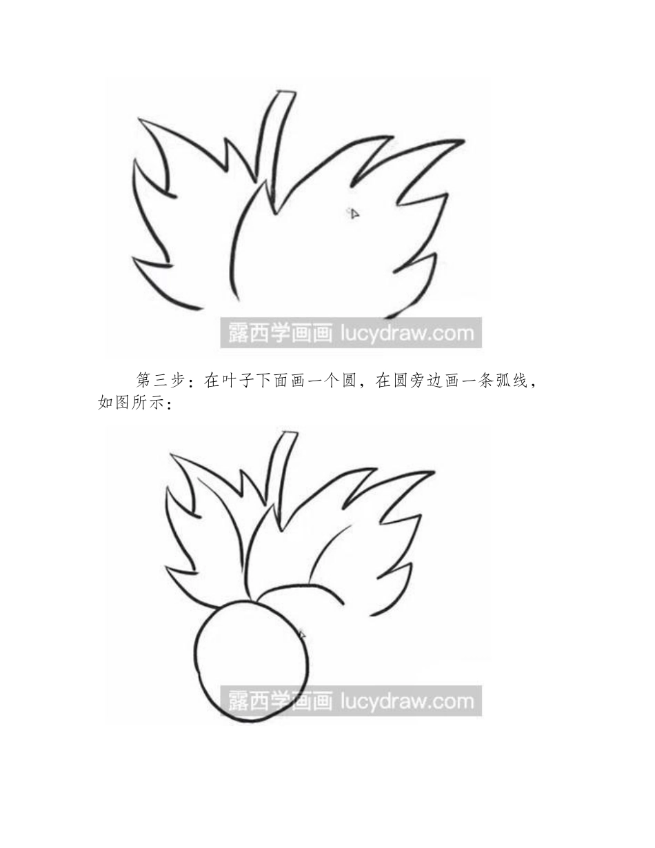 怎么画简笔画葡萄简笔画教程_第2页