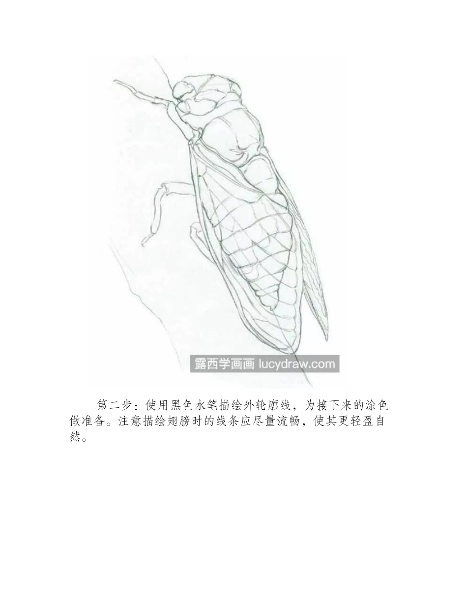 知了怎么画_蝉的彩铅画教程是什么_彩铅画教程_第2页